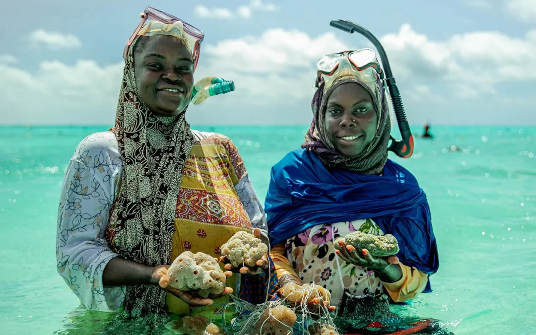 Sea sponges offer lifeline to women in Zanzibar
